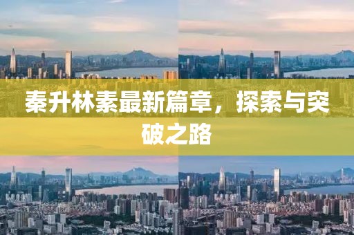 秦升林素最新篇章，探索與突破之路
