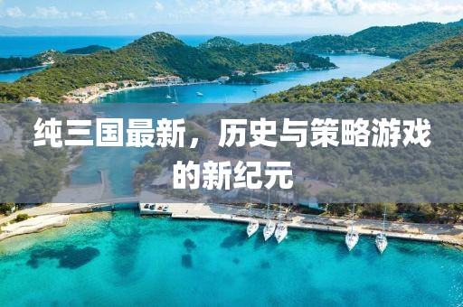 純?nèi)龂?guó)最新，歷史與策略游戲的新紀(jì)元