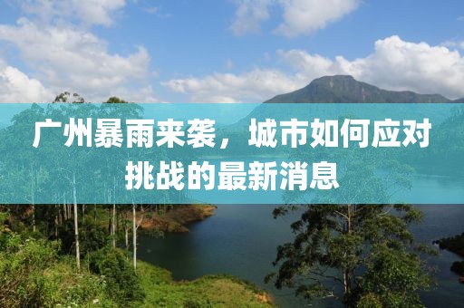 廣州暴雨來(lái)襲，城市如何應(yīng)對(duì)挑戰(zhàn)的最新消息
