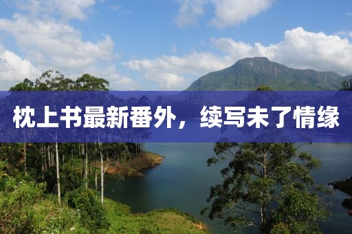 枕上書最新番外，續(xù)寫未了情緣