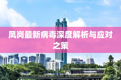 鳳崗最新病毒深度解析與應(yīng)對之策
