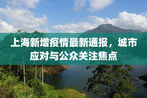 上海新增疫情最新通報(bào)，城市應(yīng)對(duì)與公眾關(guān)注焦點(diǎn)