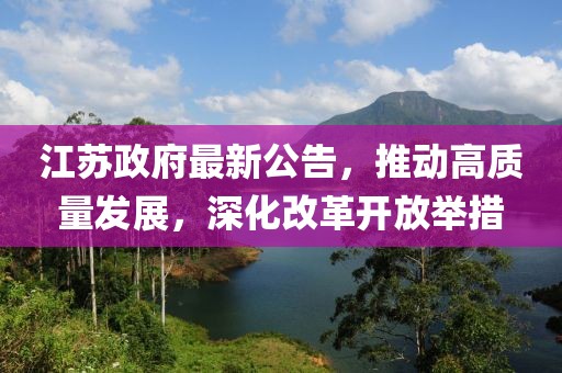 江蘇政府最新公告，推動高質(zhì)量發(fā)展，深化改革開放舉措