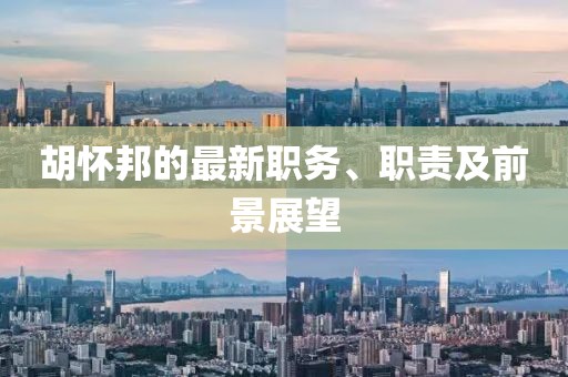 胡懷邦的最新職務(wù)、職責(zé)及前景展望