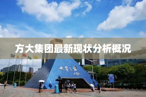 方大集團(tuán)最新現(xiàn)狀分析概況