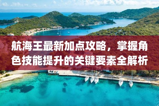 航海王最新加點(diǎn)攻略，掌握角色技能提升的關(guān)鍵要素全解析