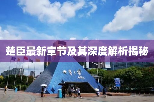 楚臣最新章節(jié)及其深度解析揭秘