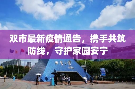 雙市最新疫情通告，攜手共筑防線，守護(hù)家園安寧