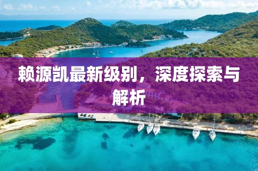 賴源凱最新級別，深度探索與解析