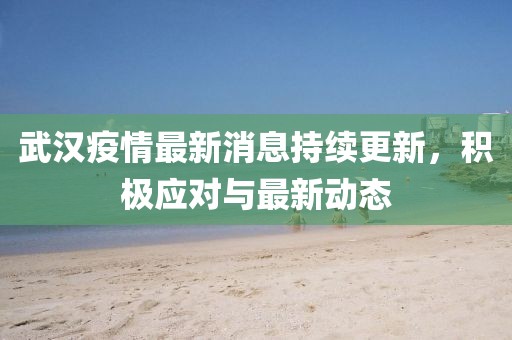 武漢疫情最新消息持續(xù)更新，積極應(yīng)對與最新動態(tài)