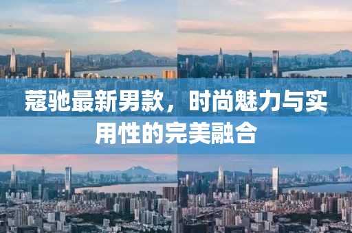 蔻馳最新男款，時尚魅力與實用性的完美融合
