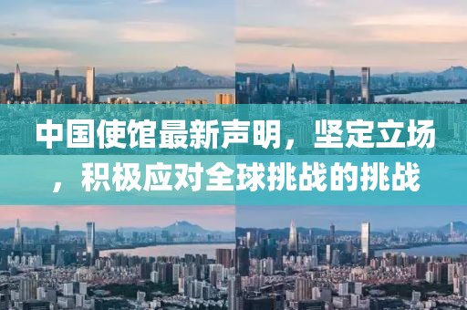 中國使館最新聲明，堅定立場，積極應對全球挑戰(zhàn)的挑戰(zhàn)