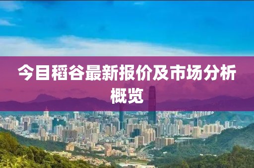 今目稻谷最新報(bào)價(jià)及市場(chǎng)分析概覽