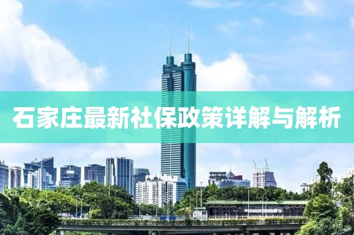 石家莊最新社保政策詳解與解析