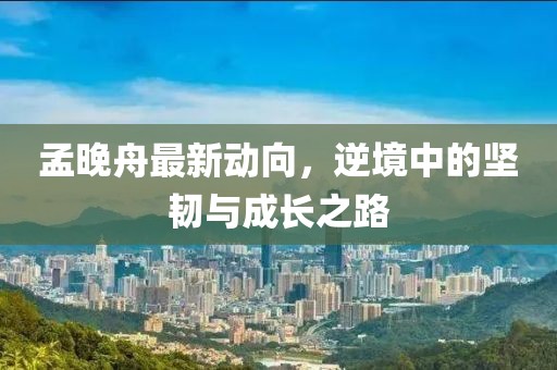 孟晚舟最新動(dòng)向，逆境中的堅(jiān)韌與成長(zhǎng)之路