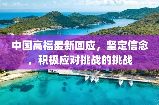 中國(guó)高福最新回應(yīng)，堅(jiān)定信念，積極應(yīng)對(duì)挑戰(zhàn)的挑戰(zhàn)
