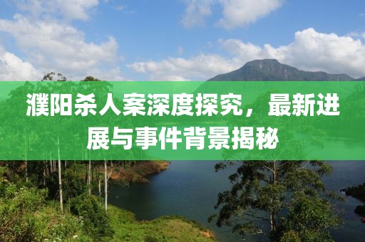 濮陽(yáng)殺人案深度探究，最新進(jìn)展與事件背景揭秘