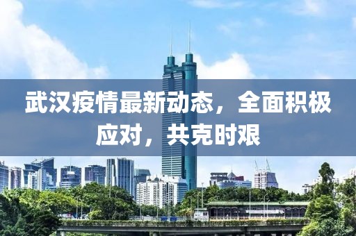 武漢疫情最新動(dòng)態(tài)，全面積極應(yīng)對(duì)，共克時(shí)艱