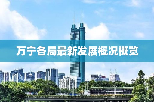 萬寧各局最新發(fā)展概況概覽