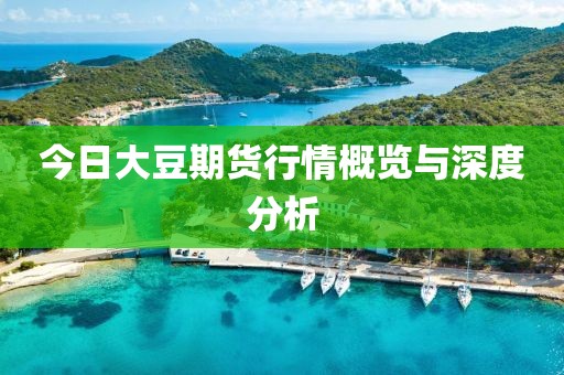 今日大豆期貨行情概覽與深度分析