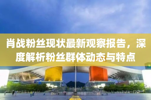 肖戰(zhàn)粉絲現(xiàn)狀最新觀察報告，深度解析粉絲群體動態(tài)與特點