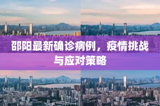 邵陽最新確診病例，疫情挑戰(zhàn)與應對策略