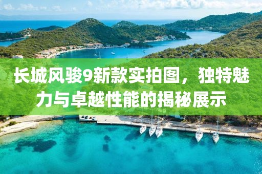 長(zhǎng)城風(fēng)駿9新款實(shí)拍圖，獨(dú)特魅力與卓越性能的揭秘展示