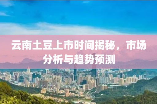 云南土豆上市時(shí)間揭秘，市場分析與趨勢預(yù)測