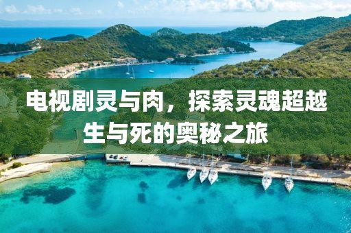 電視劇靈與肉，探索靈魂超越生與死的奧秘之旅