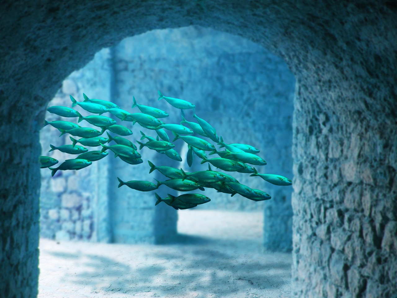 探索海洋世界的新紀(jì)元，真人捕魚最新版