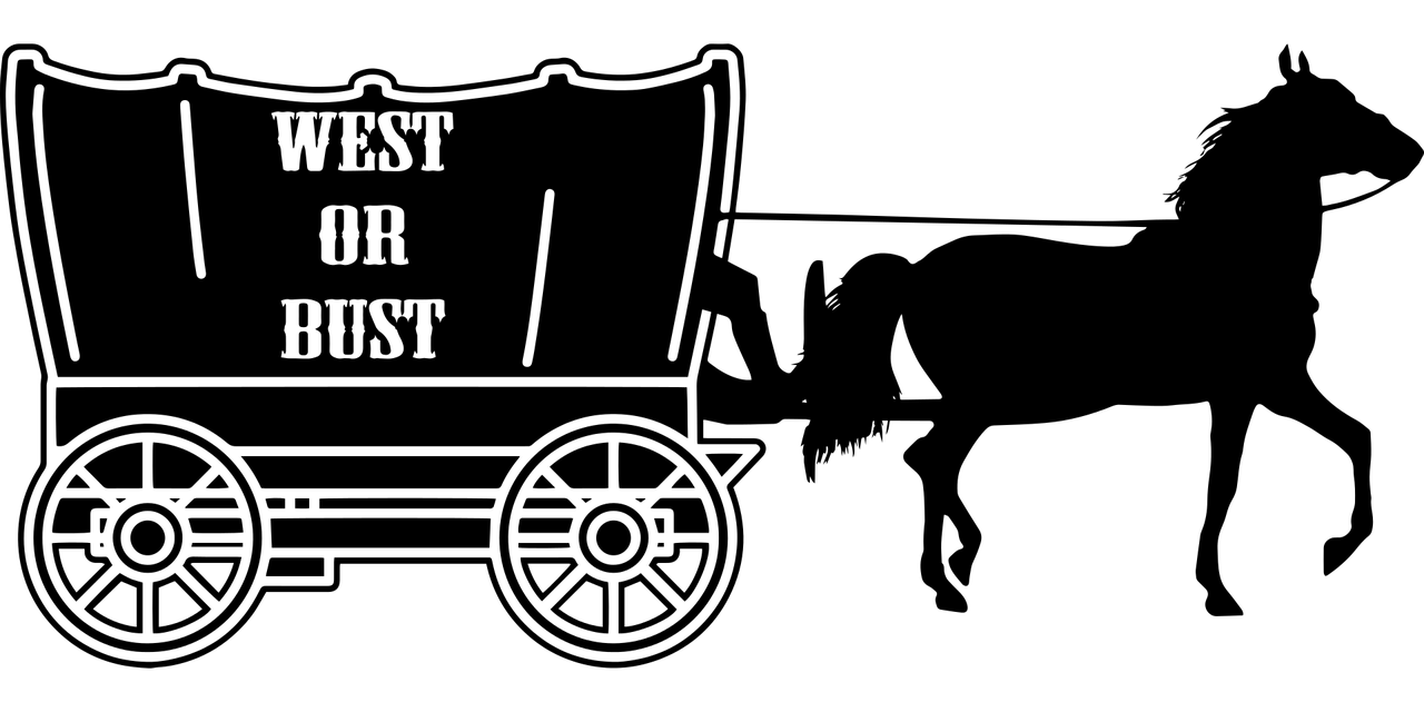 顧北 第24頁