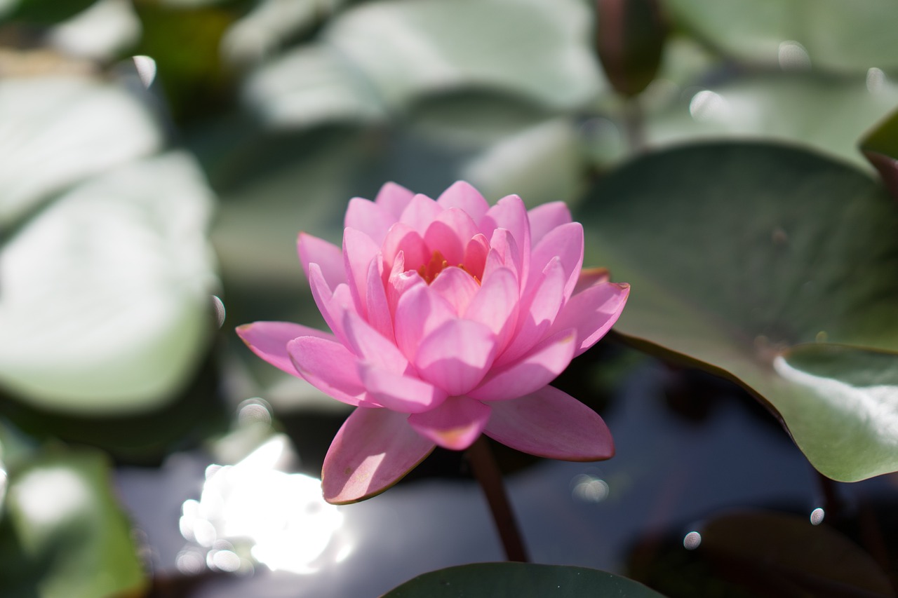 通裕重工邁向高質(zhì)量發(fā)展新紀(jì)元，創(chuàng)新引領(lǐng)的最新動(dòng)態(tài)
