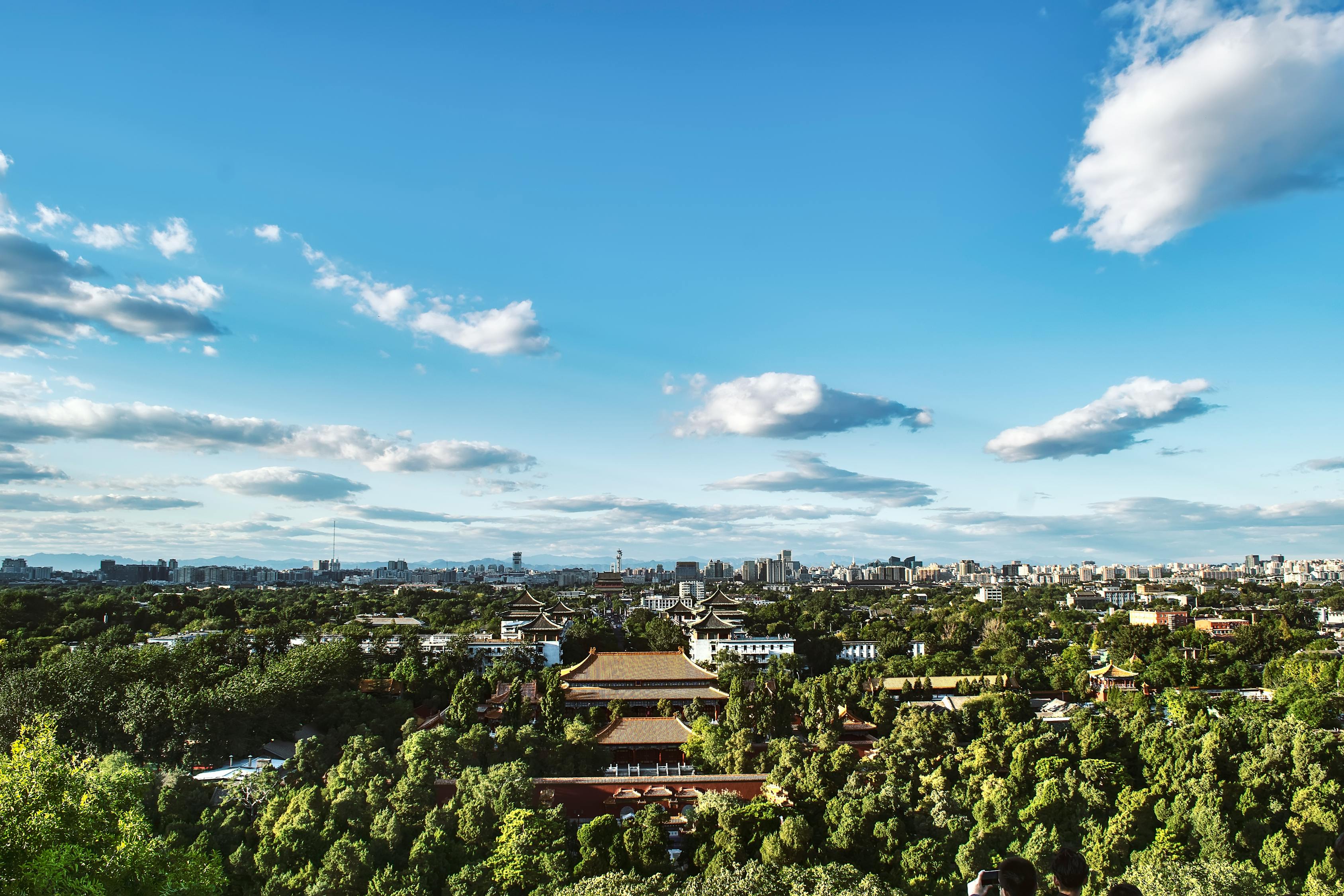 許家印最新動(dòng)態(tài)，風(fēng)雨后的堅(jiān)韌前行與持續(xù)奮斗之路