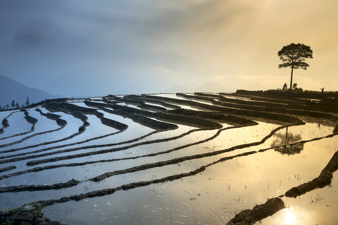 蕪湖至合肥協(xié)同進步新動態(tài)，交通、經(jīng)濟與城市規(guī)劃的融合發(fā)展