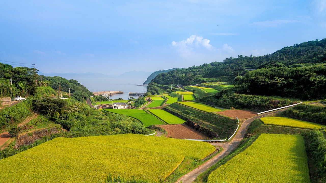 農(nóng)村最新門樓圖片展示，鄉(xiāng)村新風(fēng)貌的門樓設(shè)計(jì)大全