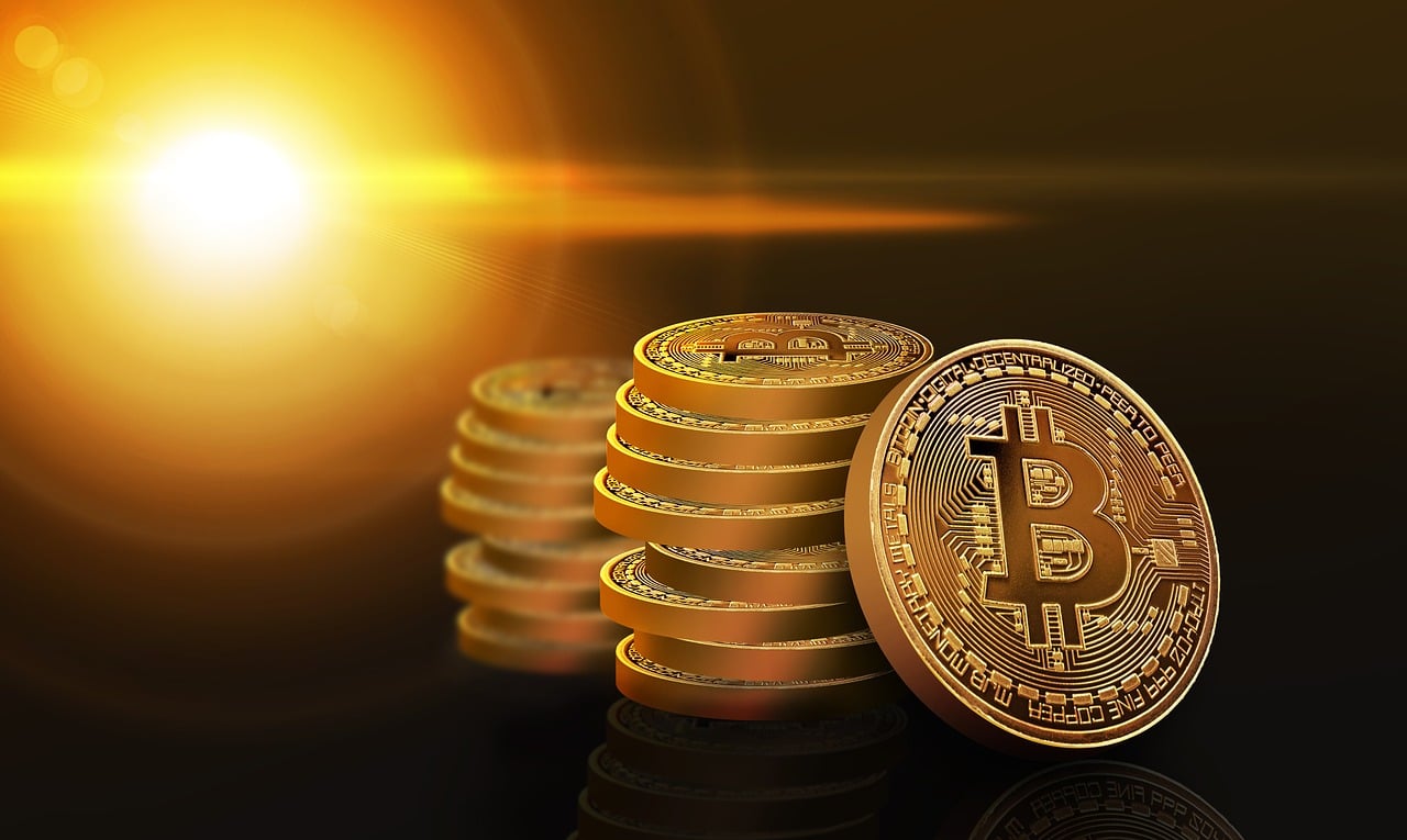 間諜過家家，秘密與日常的交織最新集數(shù)解析