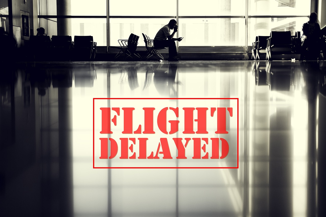 順歷最新版，探索與應(yīng)用之旅