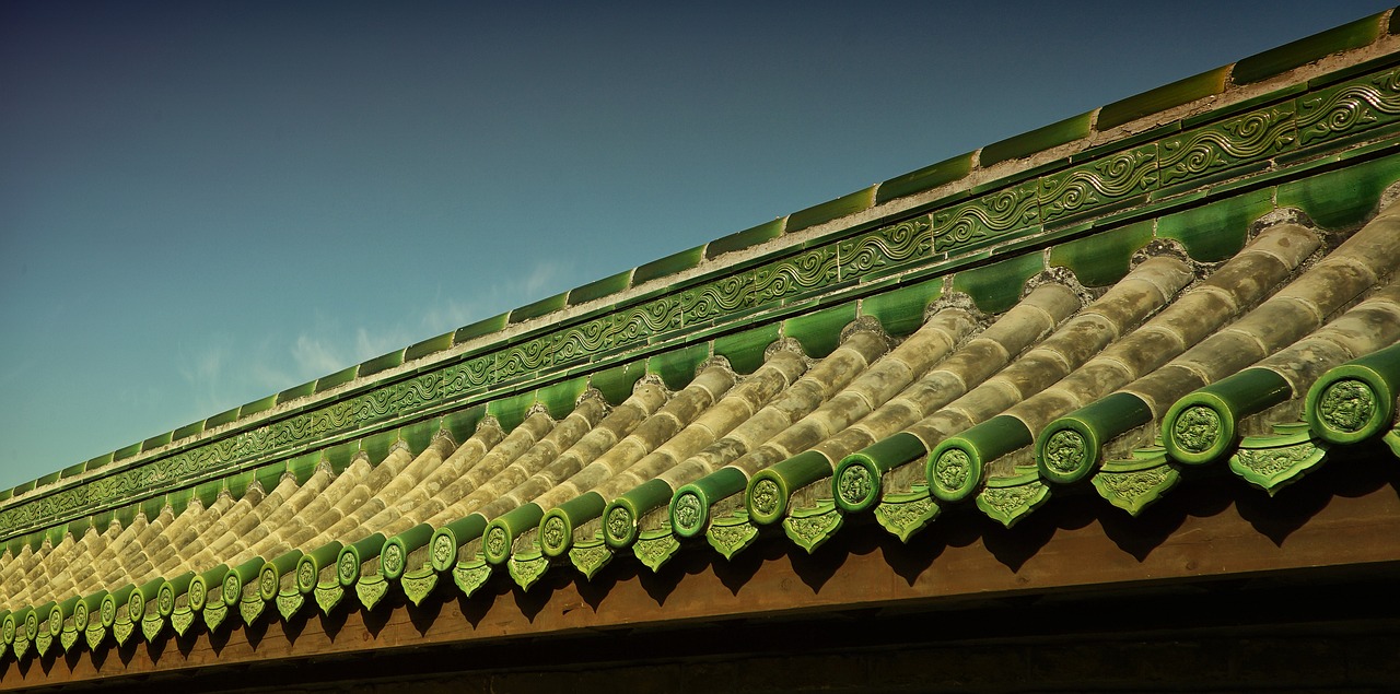北京動(dòng)物園最新動(dòng)態(tài)，創(chuàng)新引領(lǐng)行業(yè)潮流發(fā)展