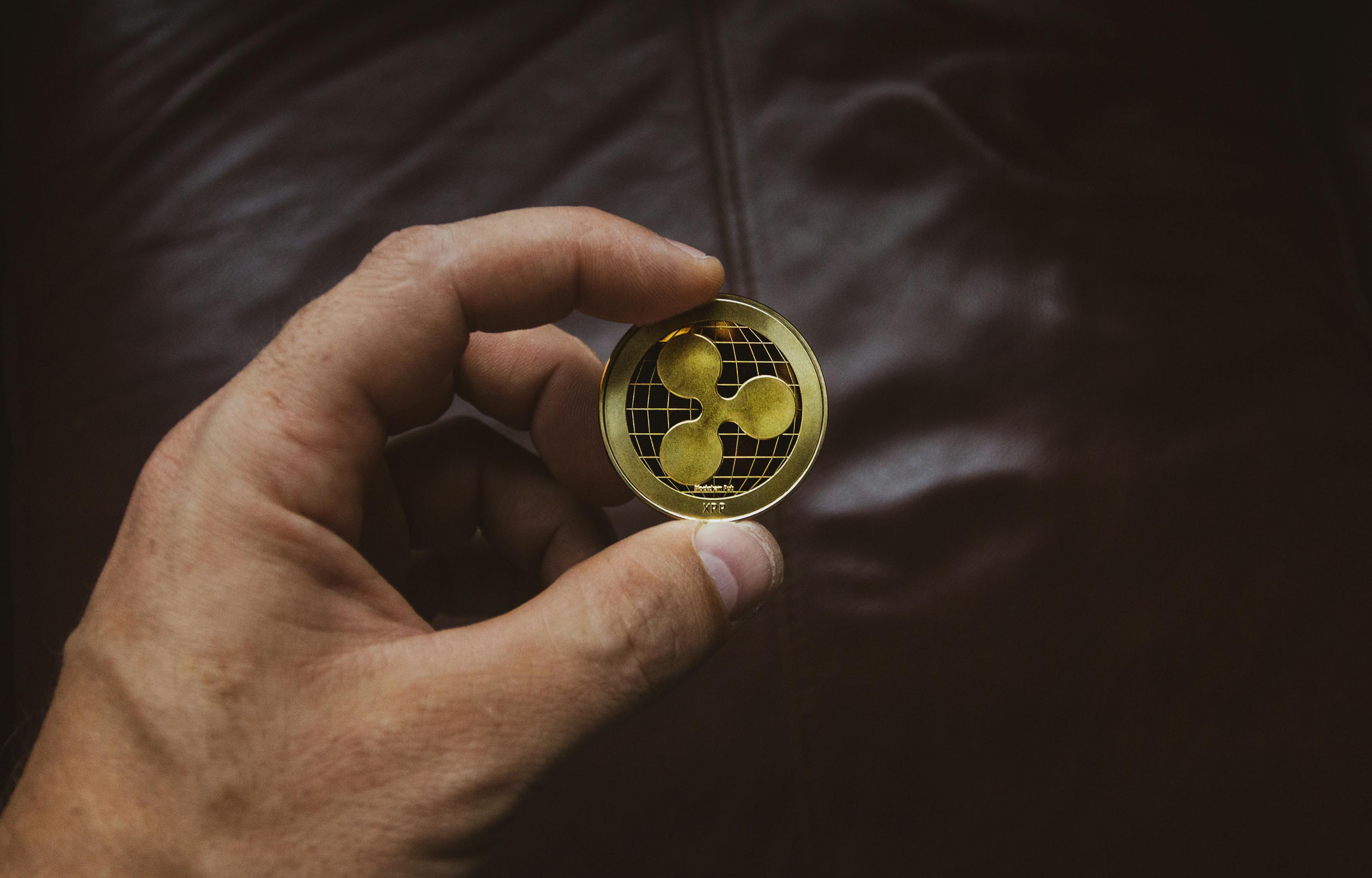 特金會最新視頻揭秘，背后的故事與深層意義解析