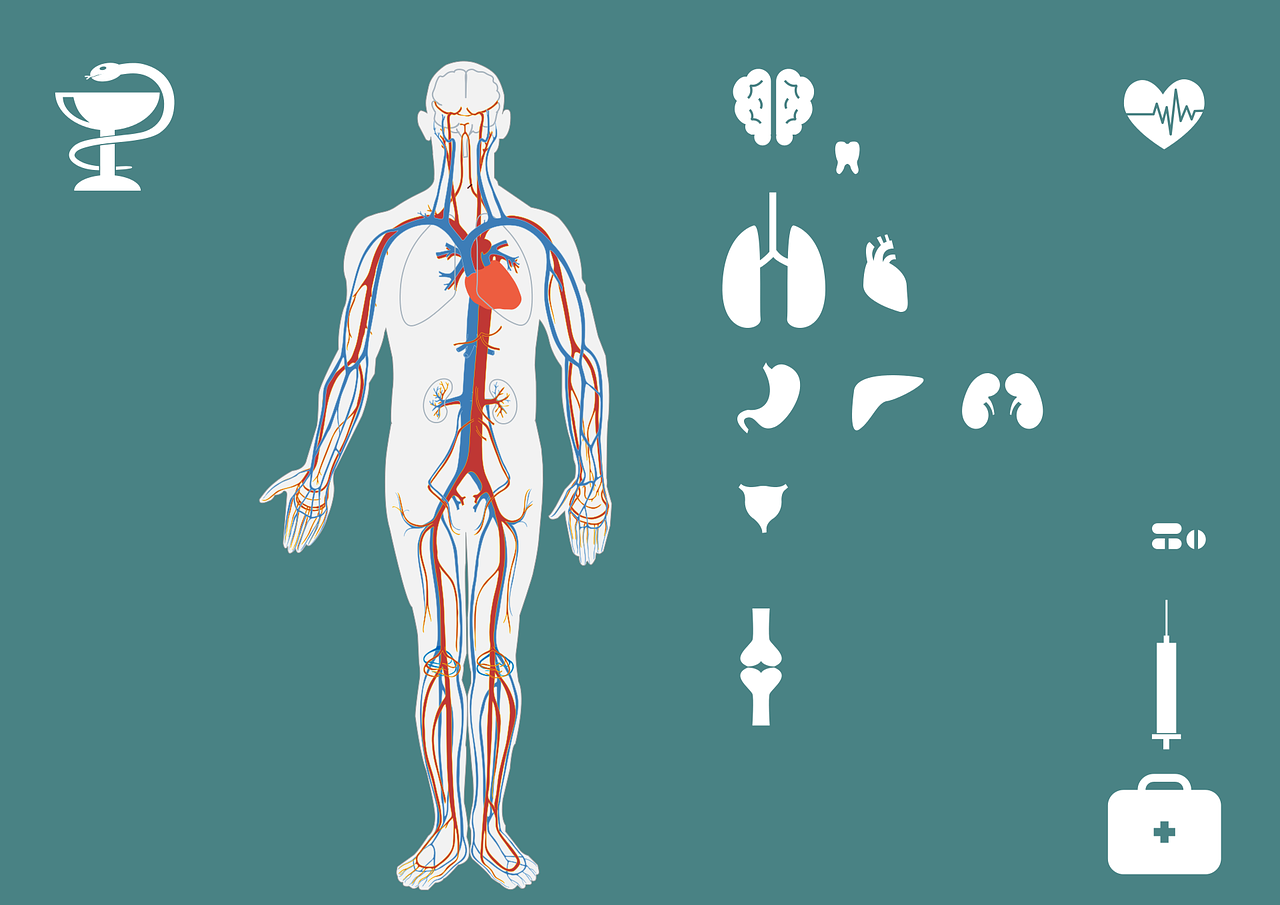 最新疫情地區(qū)報(bào)告，全球防控形勢及應(yīng)對(duì)策略探討