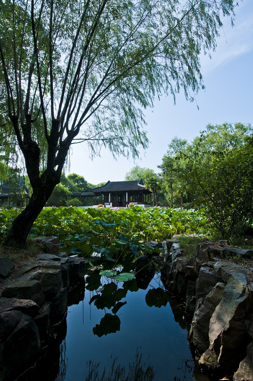 蘇州度假區(qū)最新動態(tài)揭秘，展望未來發(fā)展，揭開未來的面紗