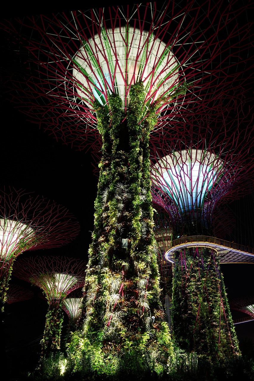 植物大僵尸新植物揭秘，先鋒力量探索神秘世界