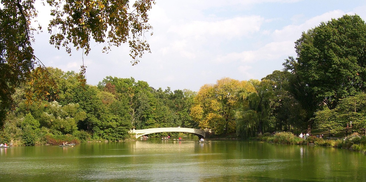 天津濕地公園最新規(guī)劃，重塑城市生態(tài)與休閑空間之美
