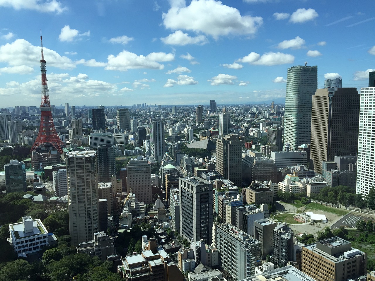 孤海 第6頁(yè)
