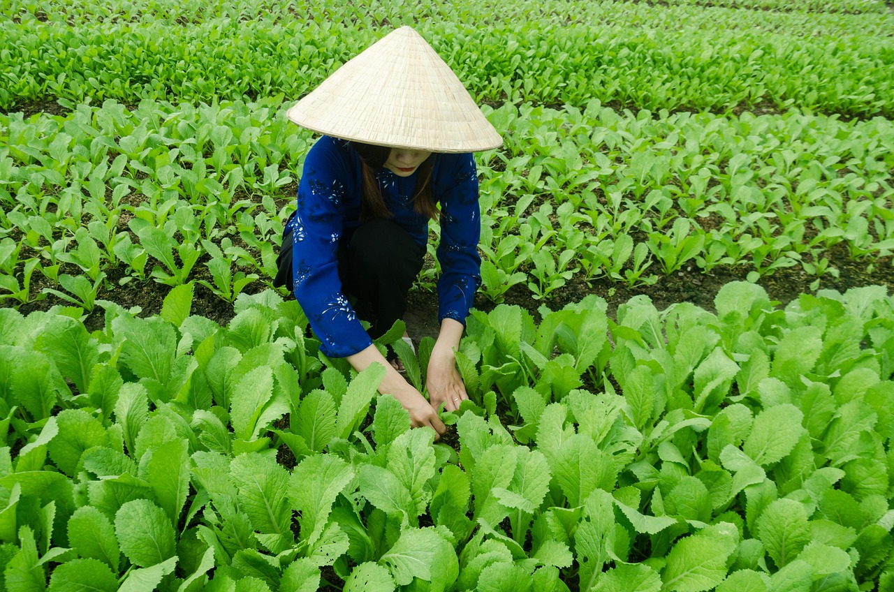 永善縣最新發(fā)展動態(tài)概覽
