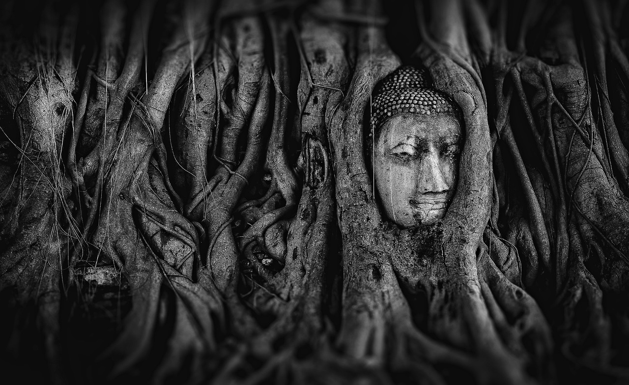 王爺驚見奇遇最新章節(jié)，神秘未知之旅探尋記