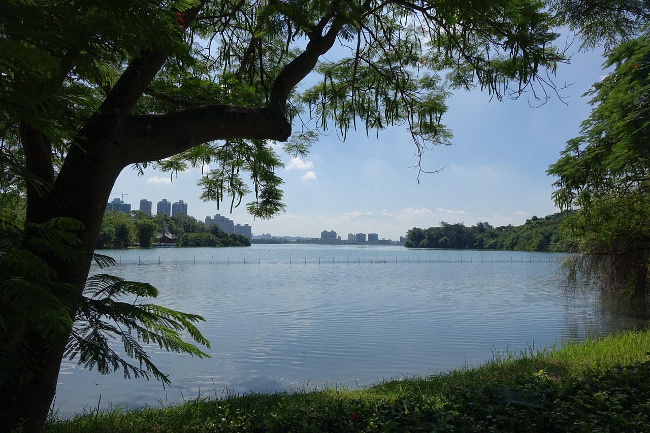 李登輝最新動態(tài)引發(fā)臺灣政治風(fēng)云再起熱議