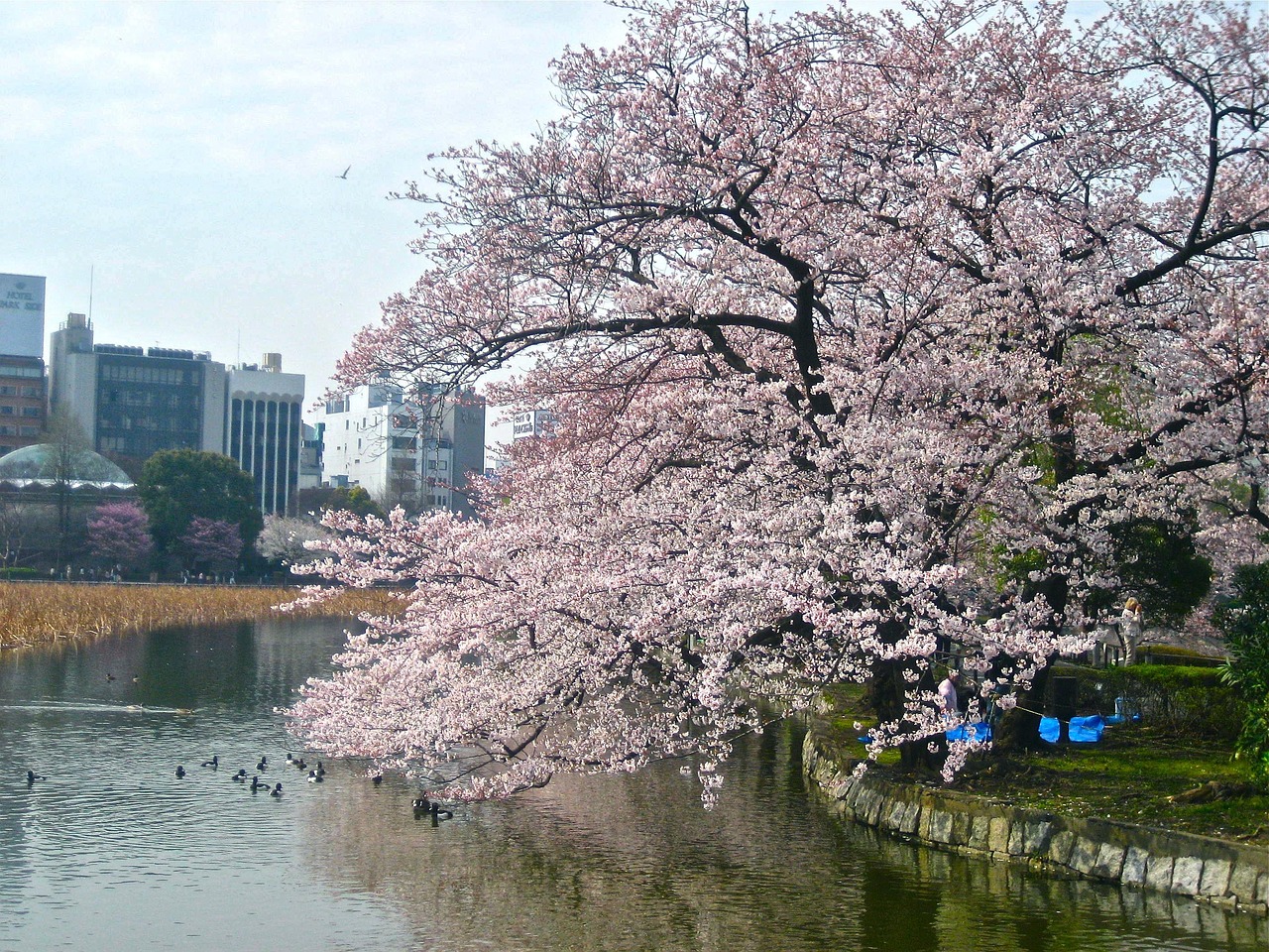 2025年4月26日 第4頁