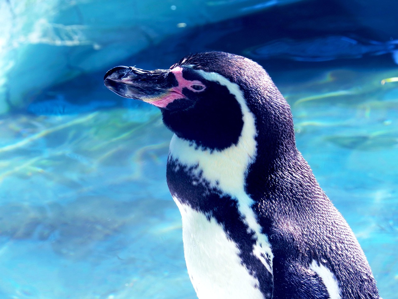五月唐山新動物園最新進展動態(tài)