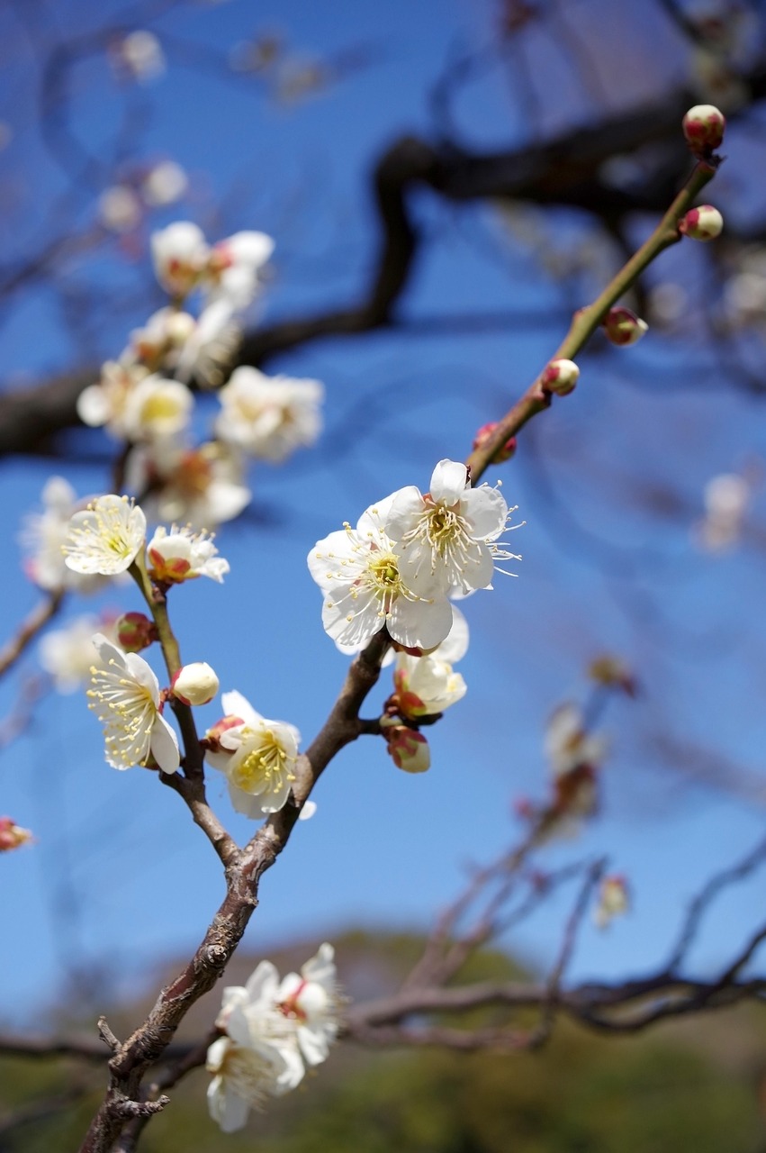 五月風華正當時，探尋菏澤王永江的最新動態(tài)